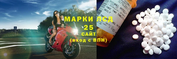 шишки Новокубанск