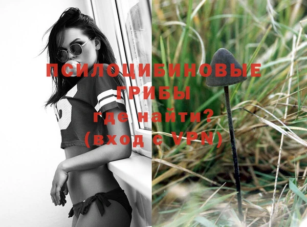 шишки Новокубанск