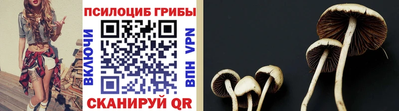 Псилоцибиновые грибы GOLDEN TEACHER  купить наркотики цена  блэк спрут сайт  Верхняя Салда 