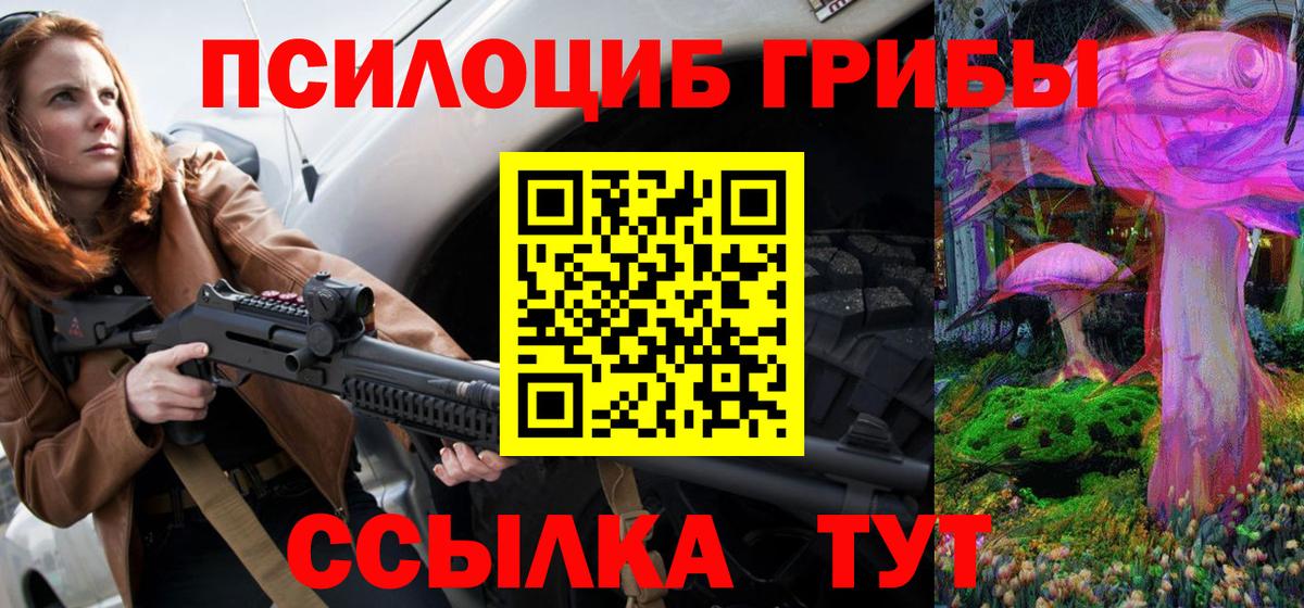 Галлюциногенные грибы Psilocybe Верхняя Салда