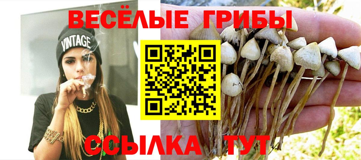 Псилоцибиновые грибы MAGIC MUSHROOMS  Вход с VPN  Верхняя Салда 