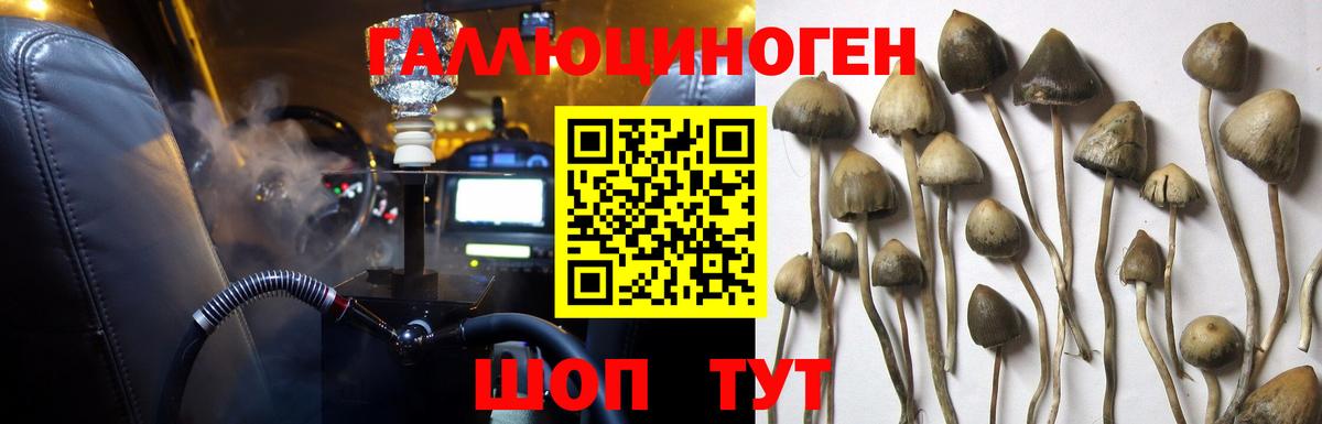 Галлюциногенные грибы Cubensis Верхняя Салда